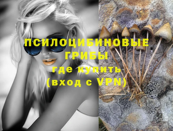 apvp Богданович