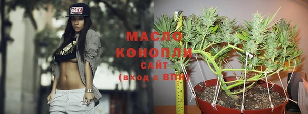 apvp Богданович