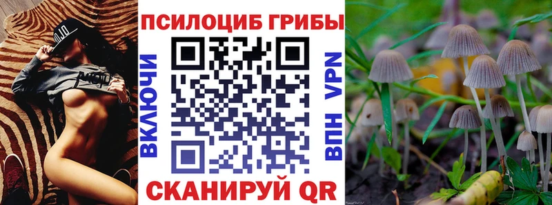 Псилоцибиновые грибы MAGIC MUSHROOMS  Бор 