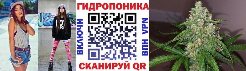 Бошки Шишки тримм  Бор 